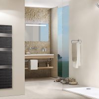 Grzejnik łazienkowy PURMO Evia 600x1357xD50mm lewy